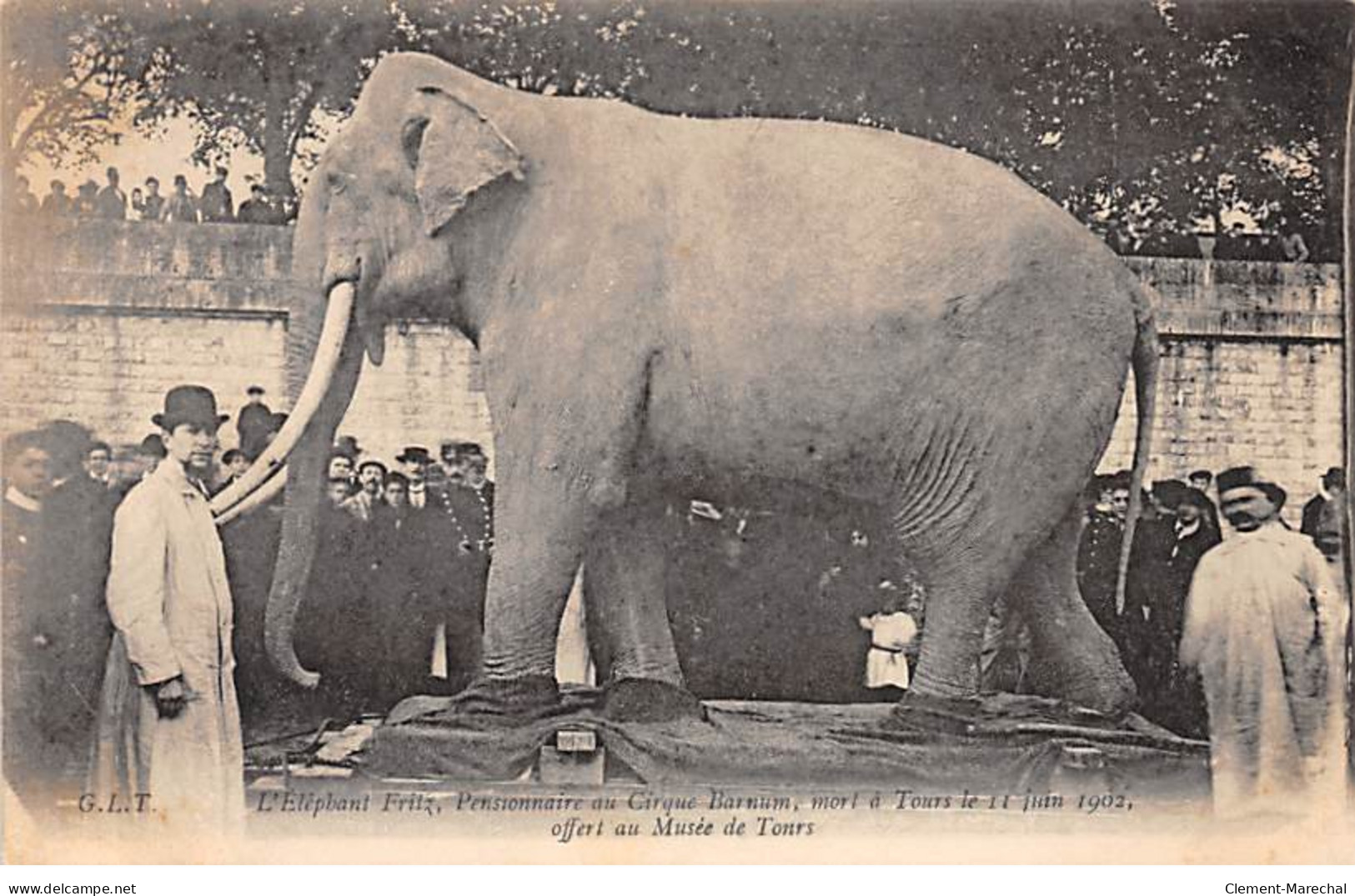 TOURS - L'Eléphant Fritz, Morts à Tours Le 11 Juin 1902 - Très Bon état - Tours