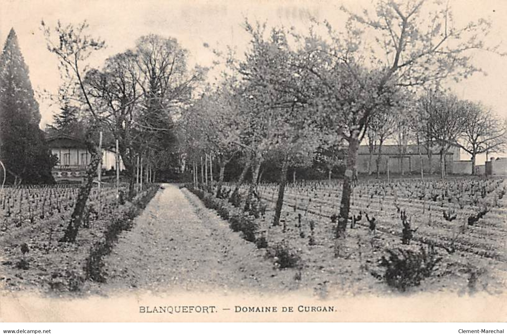 BLANQUEFORT - Domaine De Curgan - Très Bon état - Blanquefort