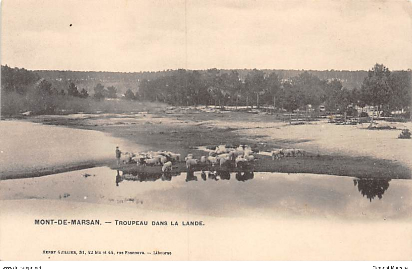 MONT DE MARSAN - Troupeau Dans La Lande - Très Bon état - Mont De Marsan