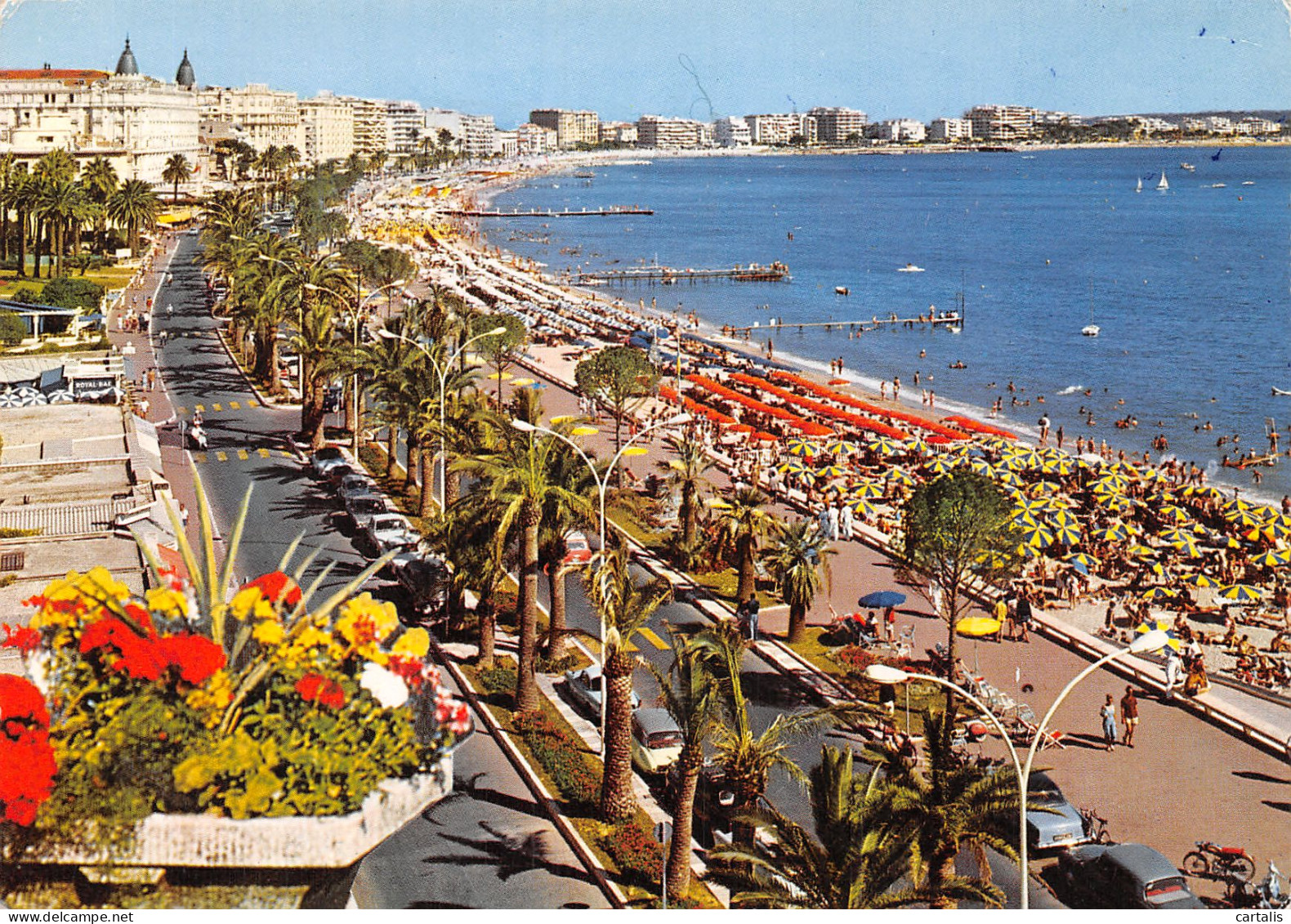 06-CANNES-N°4206-A/0085 - Cannes