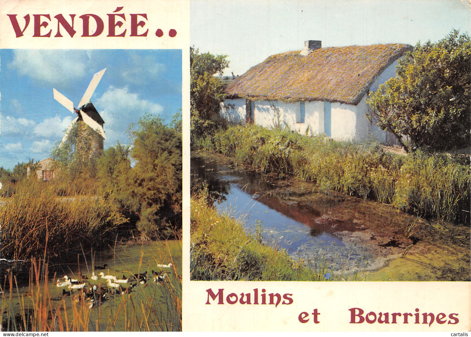 85-VENDEE BOURRINES ET MOULINS-N°4205-D/0351 - Sonstige & Ohne Zuordnung