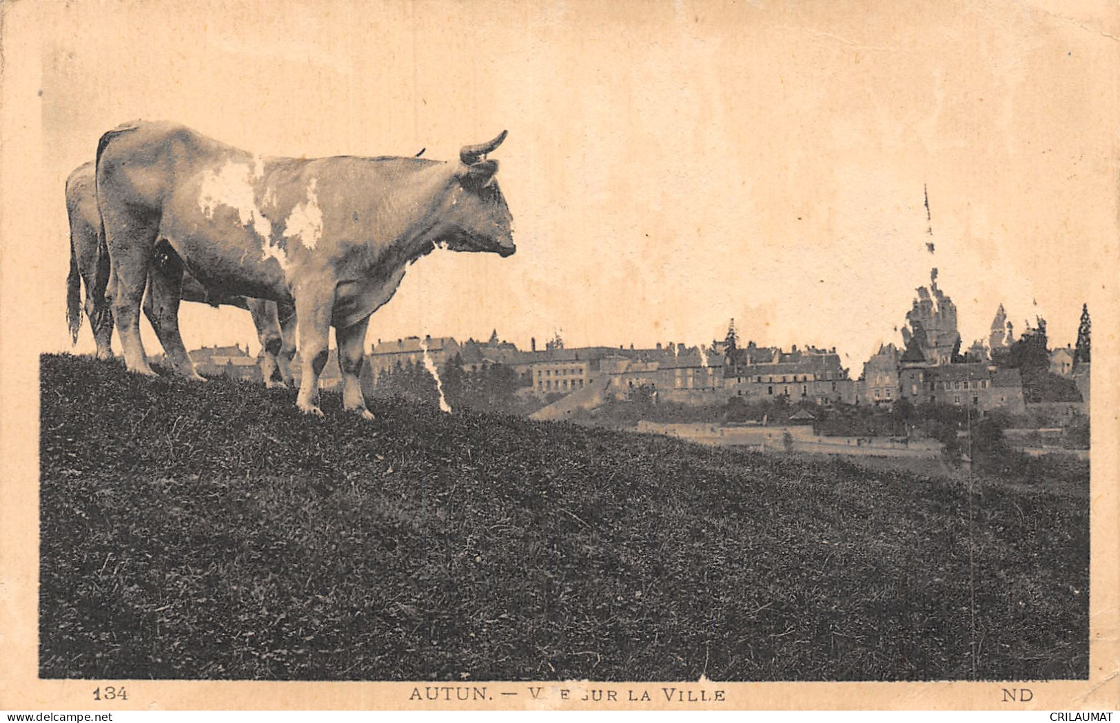 71-AUTUN-N°5150-C/0205 - Autun