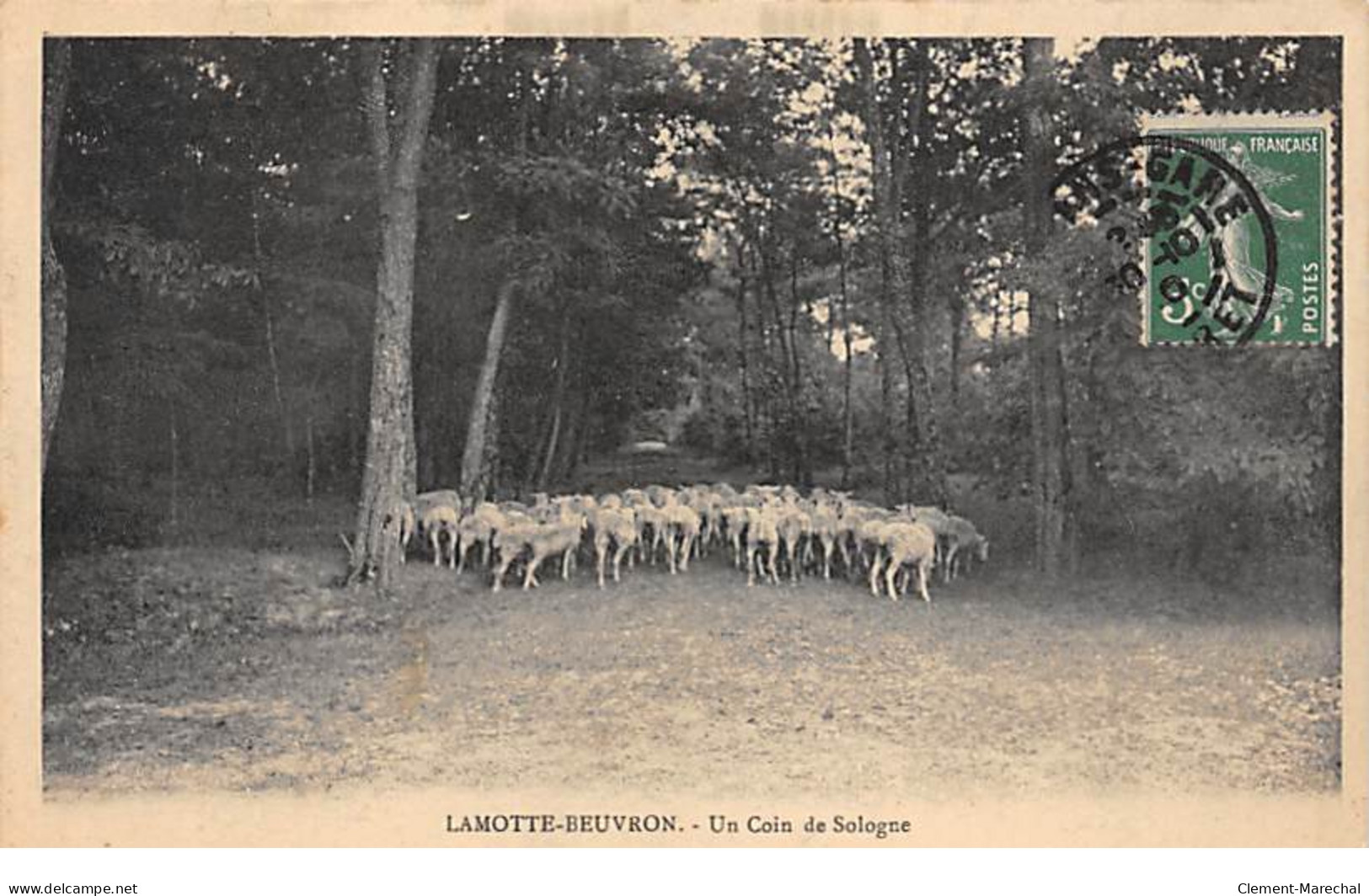 LAMOTTE BEUVRON - Un Coin De Sologne - Très Bon état - Lamotte Beuvron