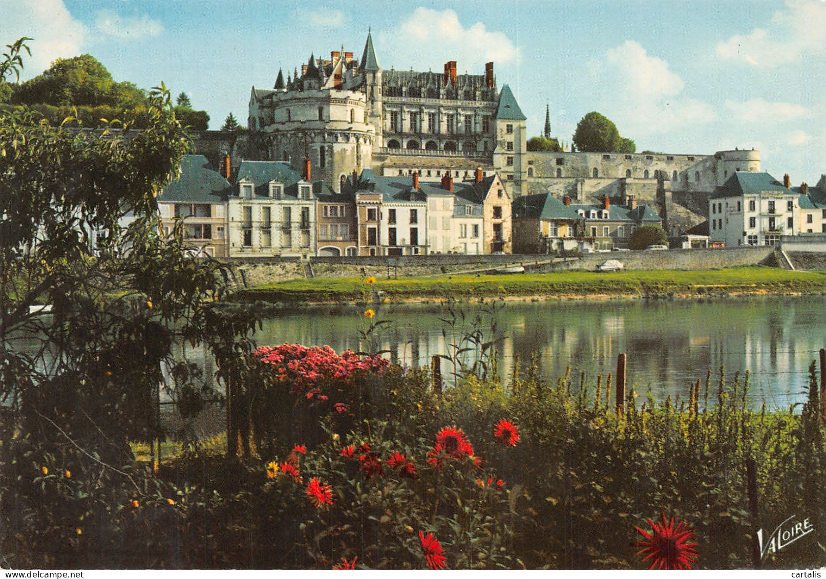 37-AMBOISE-N°4206-C/0053 - Amboise