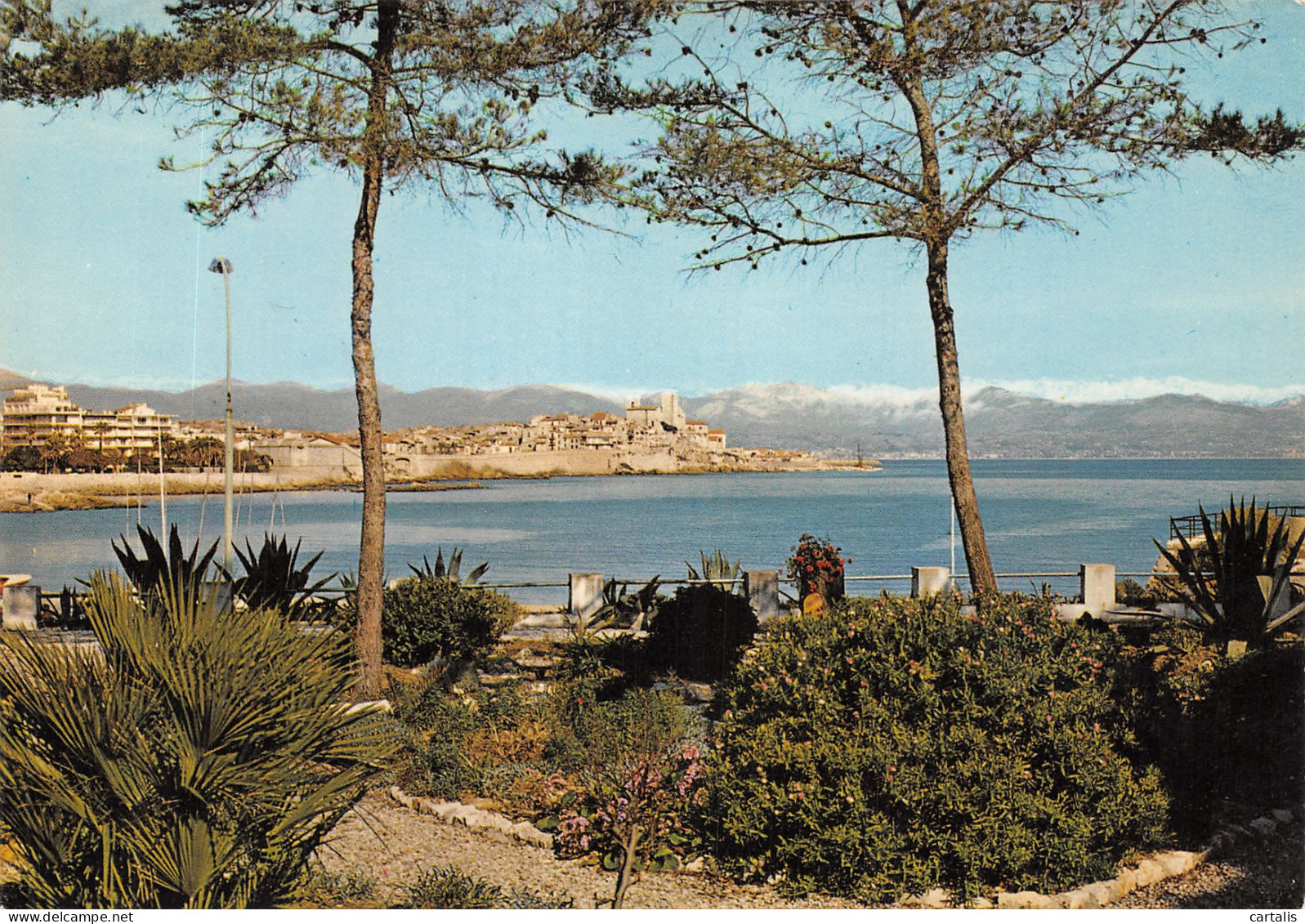 06-ANTIBES-N°4207-A/0009 - Sonstige & Ohne Zuordnung