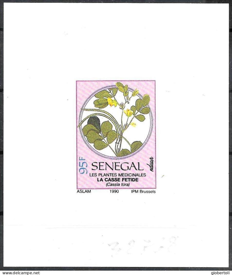 Senegal/Sénégal: Prova, Proof, épreuve,  Cassia Tora - Heilpflanzen