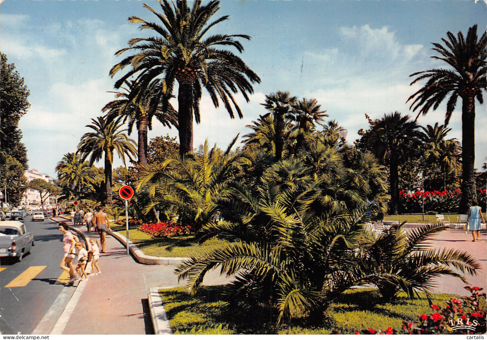 06-CANNES-N°4206-D/0247 - Cannes