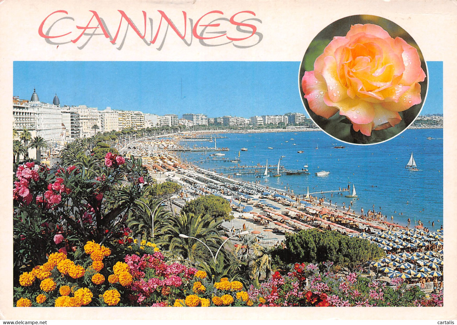 06-CANNES-N°4206-D/0237 - Cannes