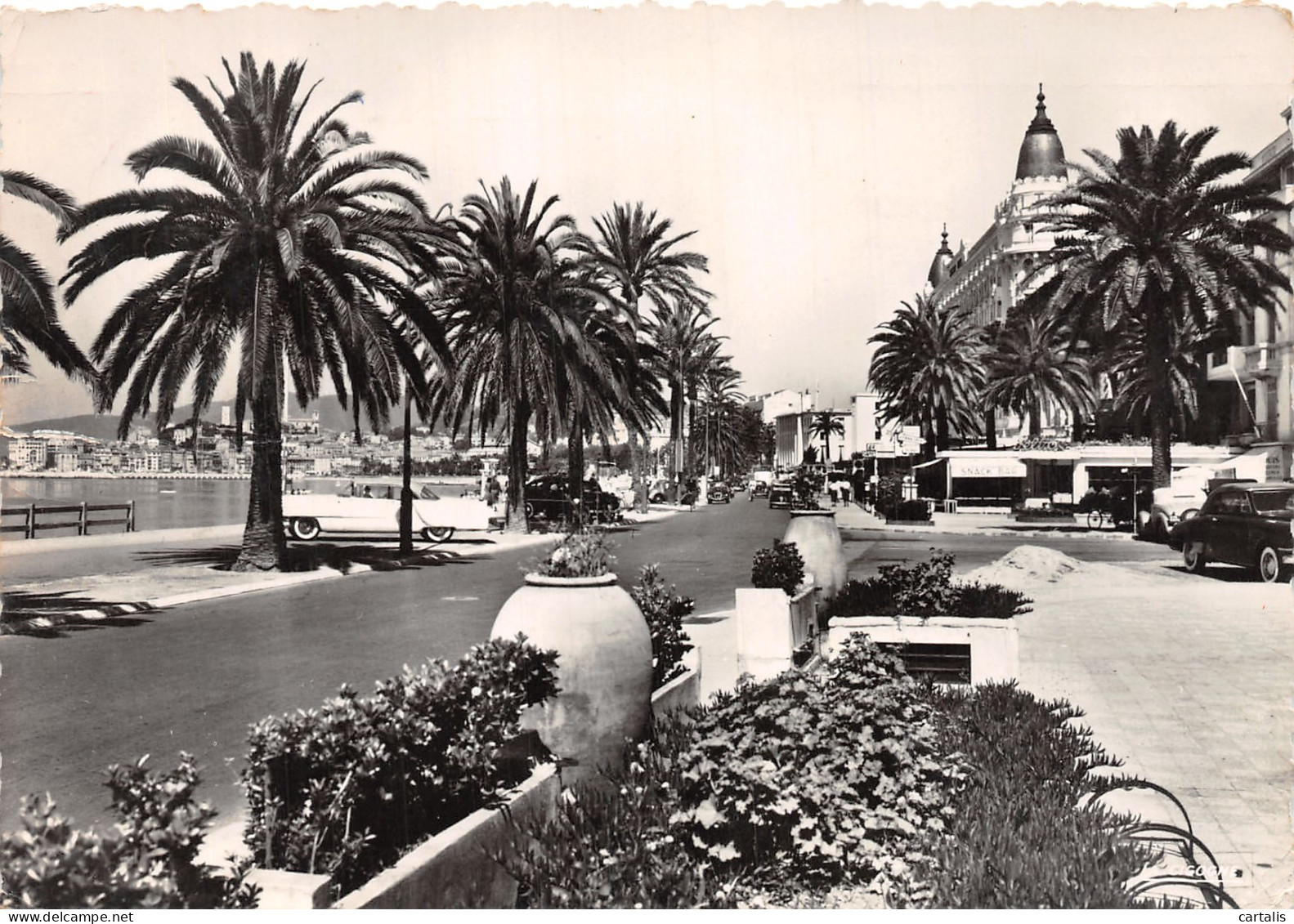 06-CANNES-N°4206-D/0233 - Cannes