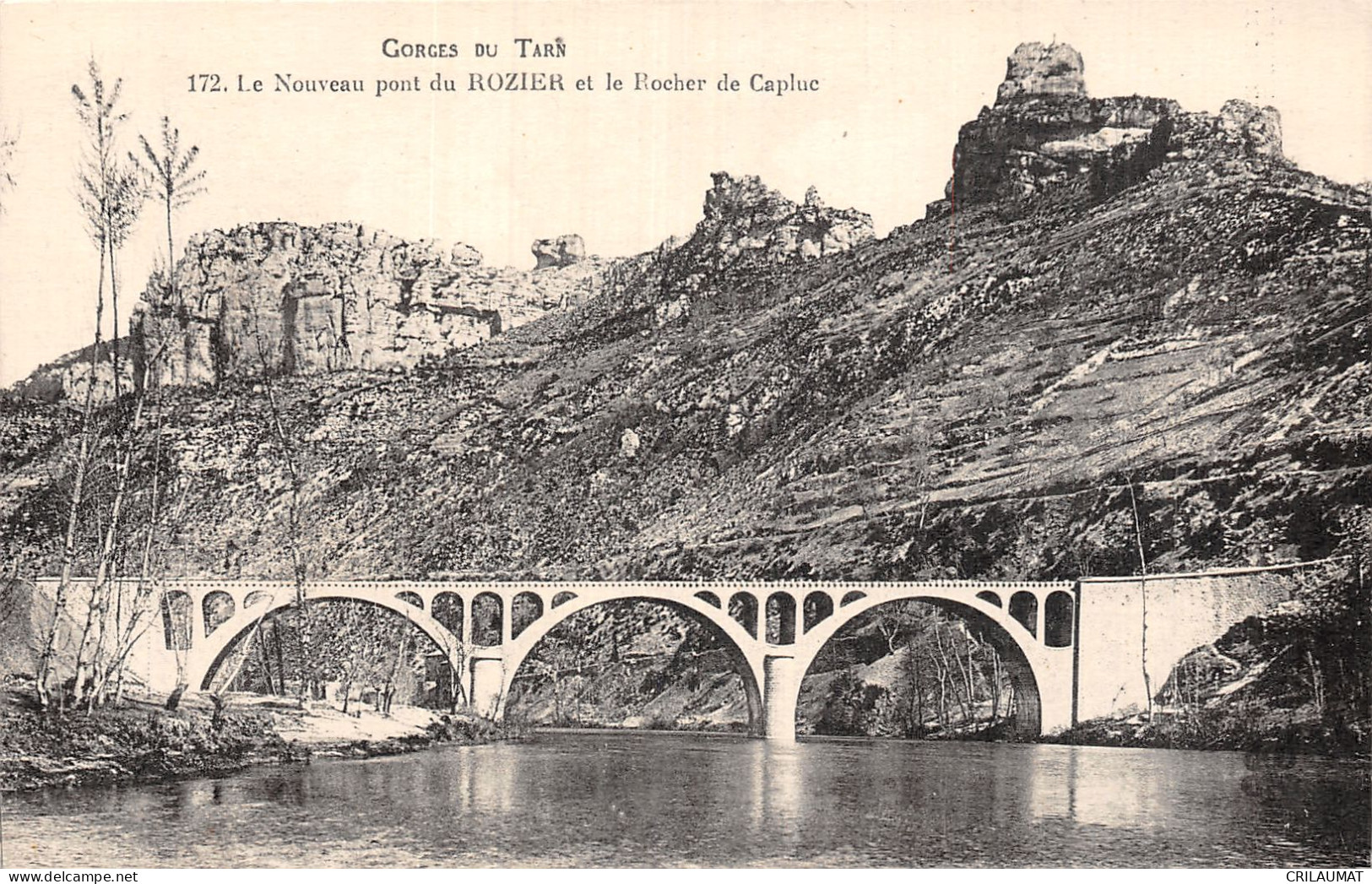 46-PONT DU ROZIER ET ROCHER DE CAPLUC-N°5150-H/0101 - Sonstige & Ohne Zuordnung