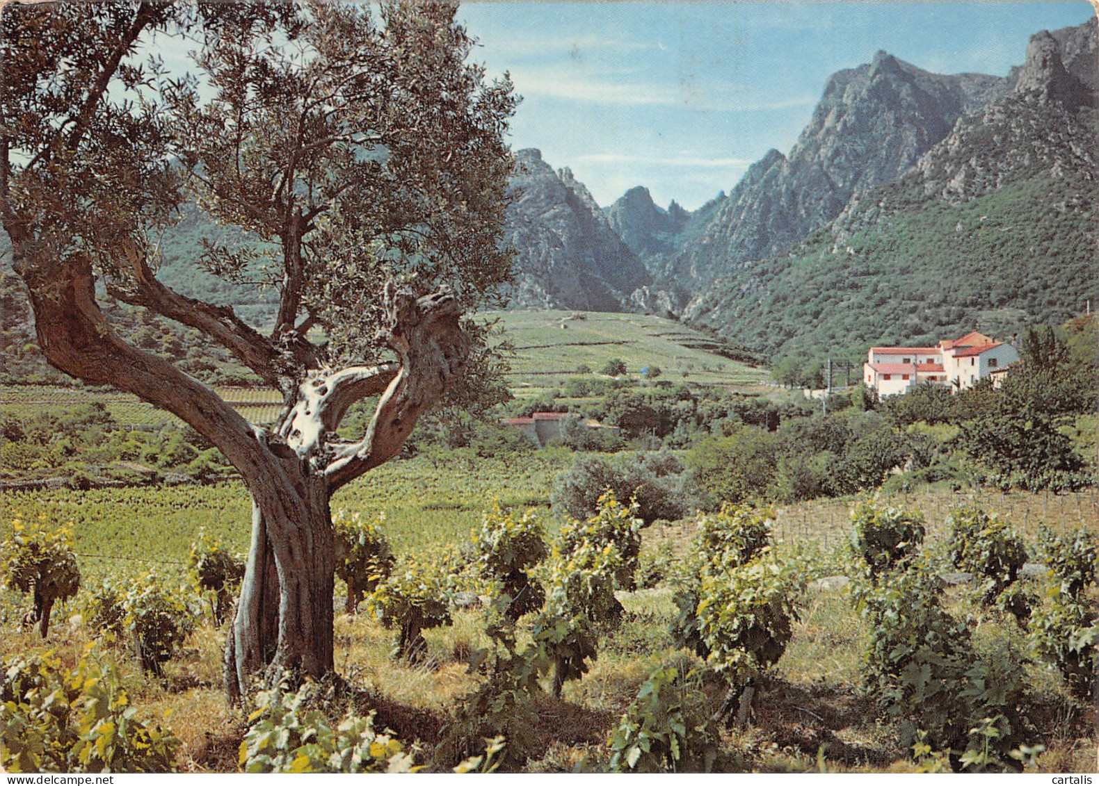 34-SAINT PONS LES GORGES D ERIC-N°4207-C/0321 - Sonstige & Ohne Zuordnung