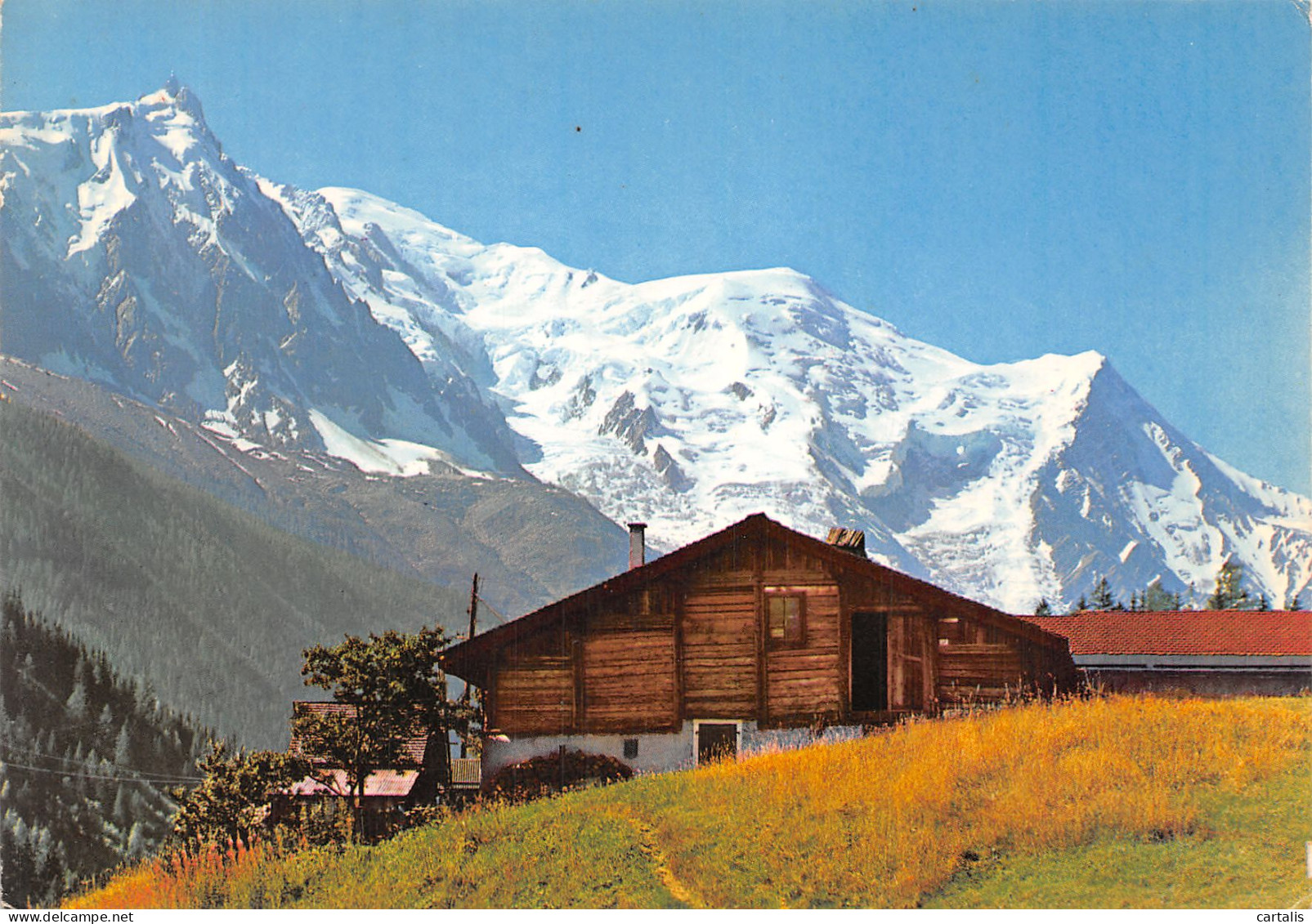 74-CHAMONIX MONT BLANC-N°4207-C/0317 - Chamonix-Mont-Blanc