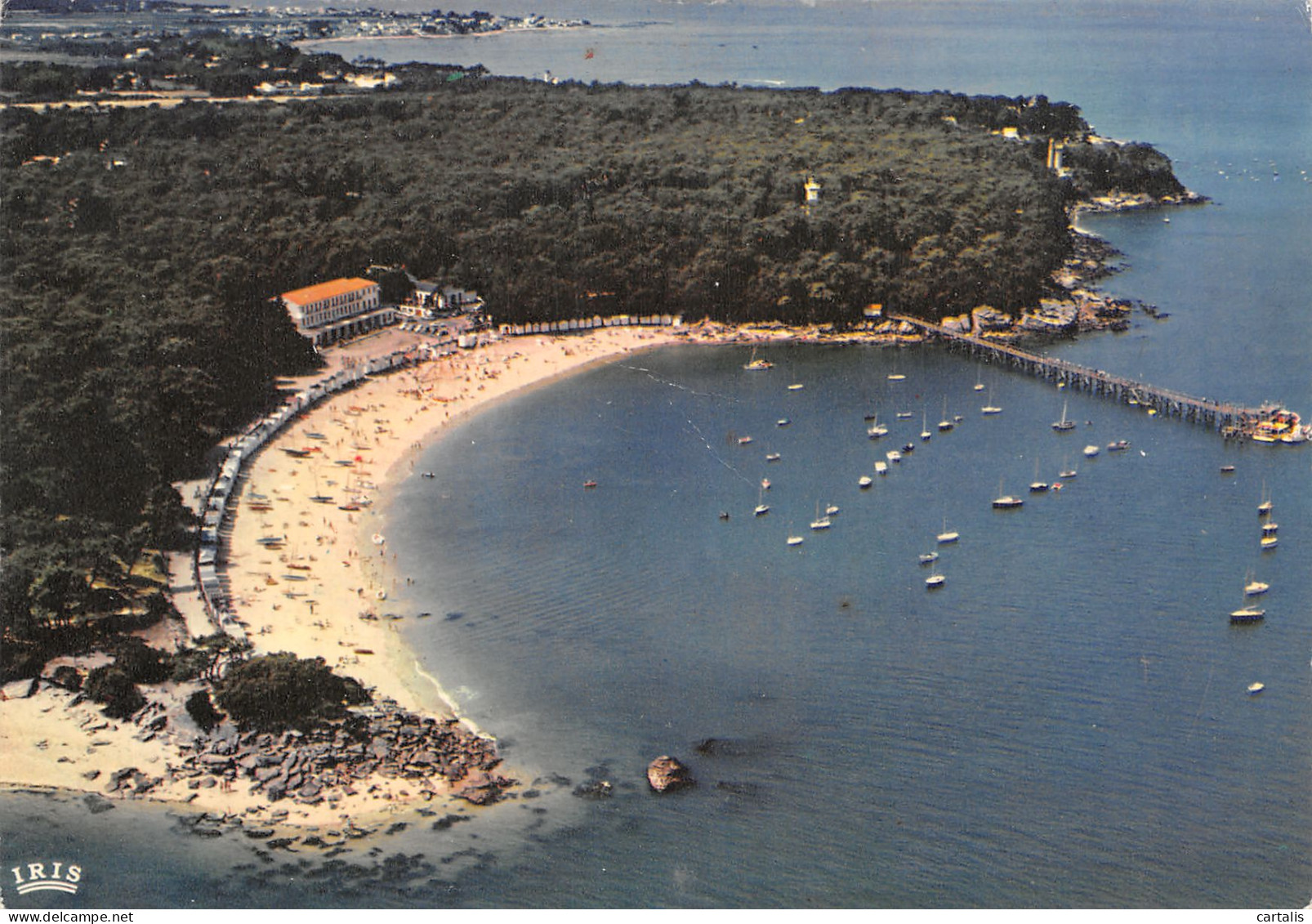 85-ILE DE NOIRMOUTIER-N°4207-B/0109 - Ile De Noirmoutier