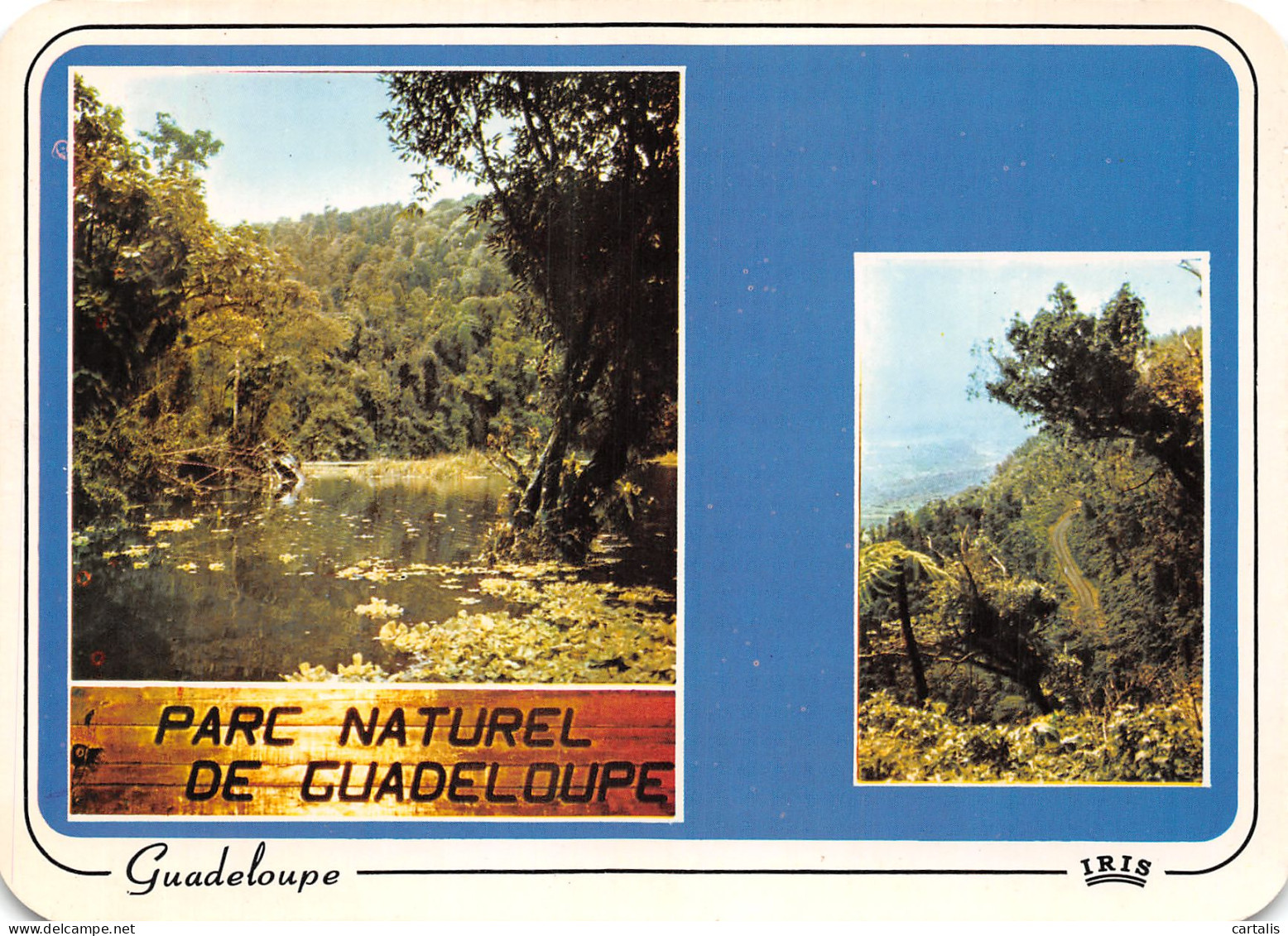 971-GUADELOUPE-N°4207-A/0397 - Andere & Zonder Classificatie