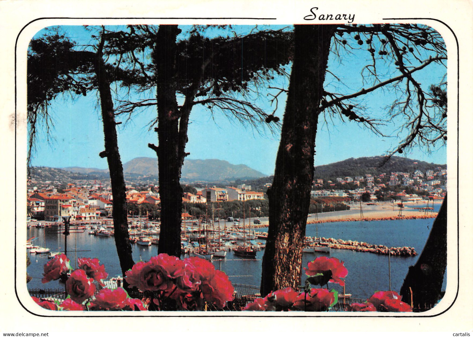 83-SANARY-N°4207-A/0261 - Sanary-sur-Mer