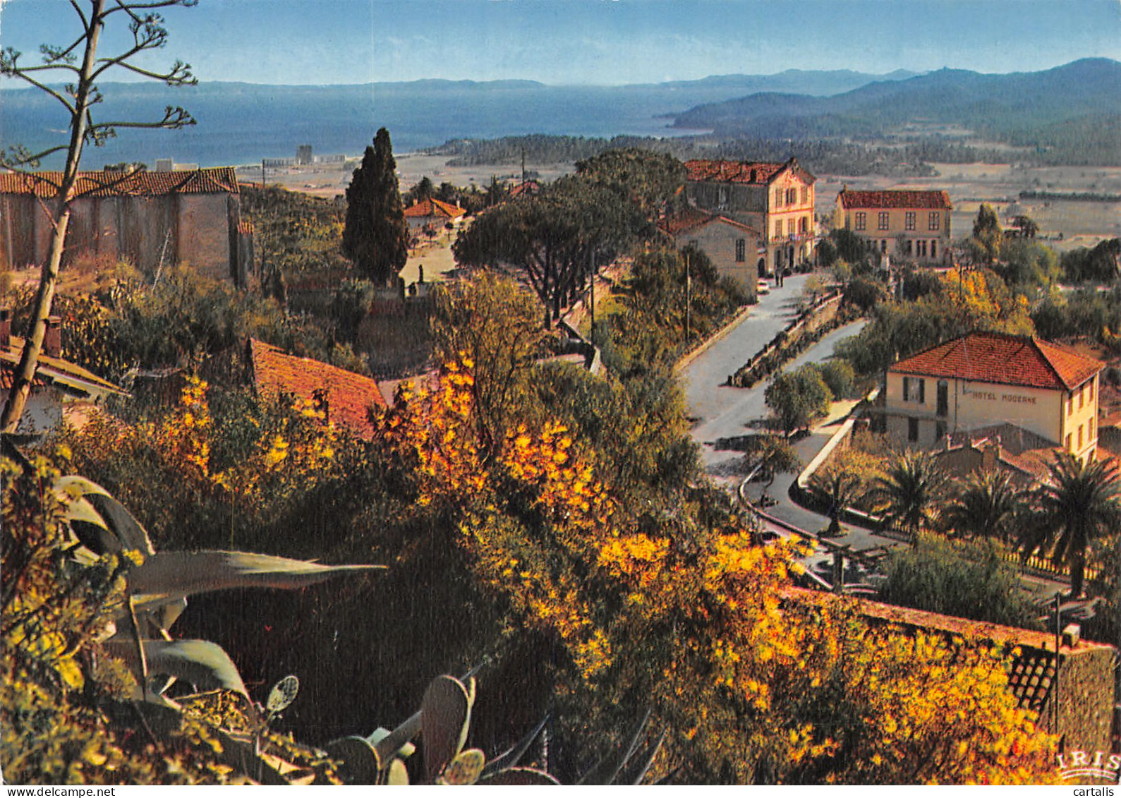 83-BORMES LES MIMOSAS-N°4207-A/0239 - Bormes-les-Mimosas