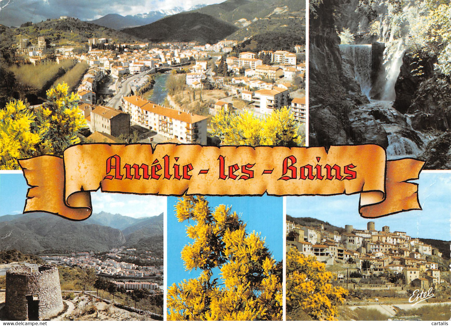 66-AMELIE LES BAINS-N°4207-A/0177 - Other & Unclassified