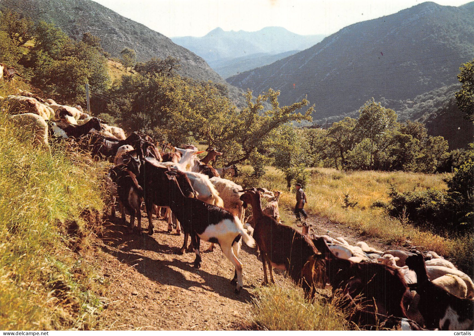 07-LES CEVENNES-N°4208-A/0001 - Sonstige & Ohne Zuordnung