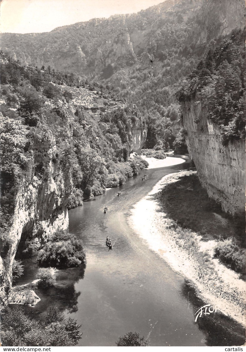 48-LES GORGES DU TARN-N°4207-D/0399 - Sonstige & Ohne Zuordnung