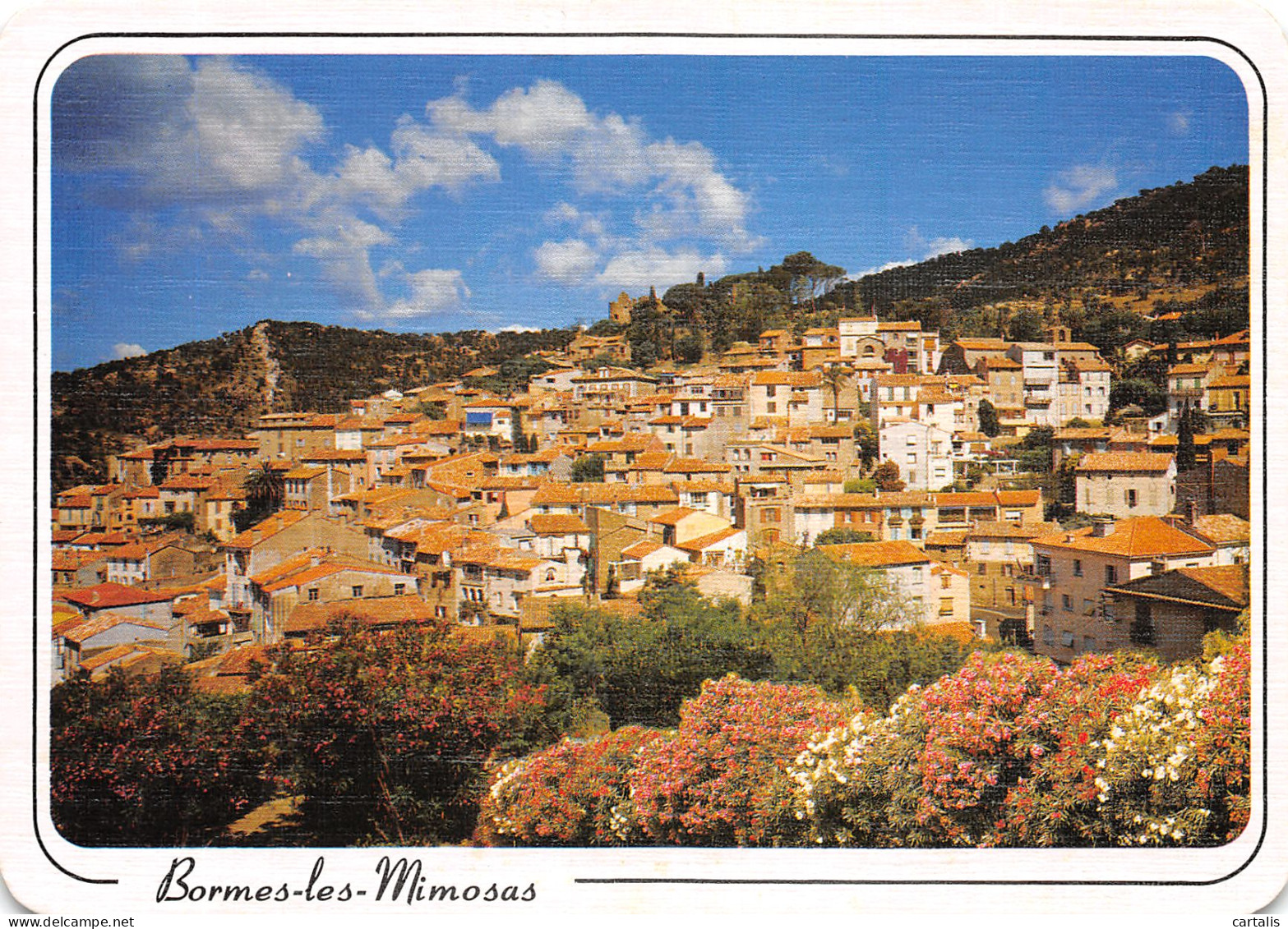 83-BORMES LES MIMOSAS-N°4207-D/0379 - Bormes-les-Mimosas