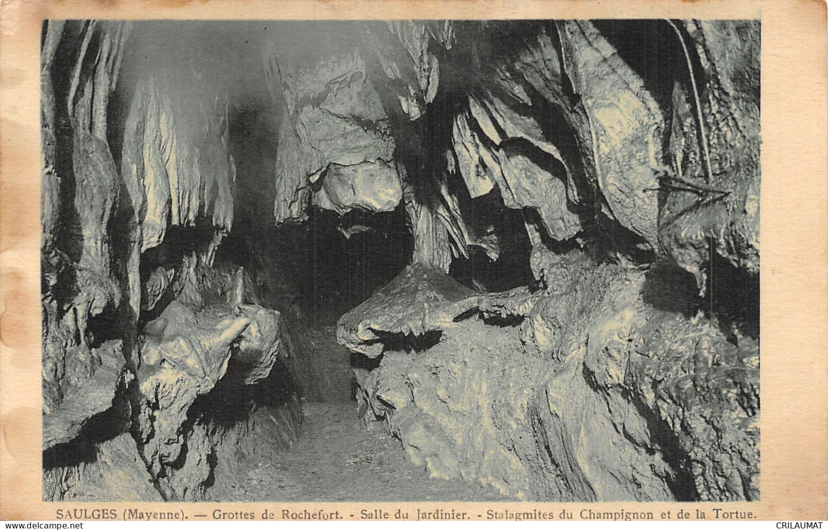 53-SAULGES GROTTES DE ROCHEFORT-N°5151-F/0229 - Autres & Non Classés