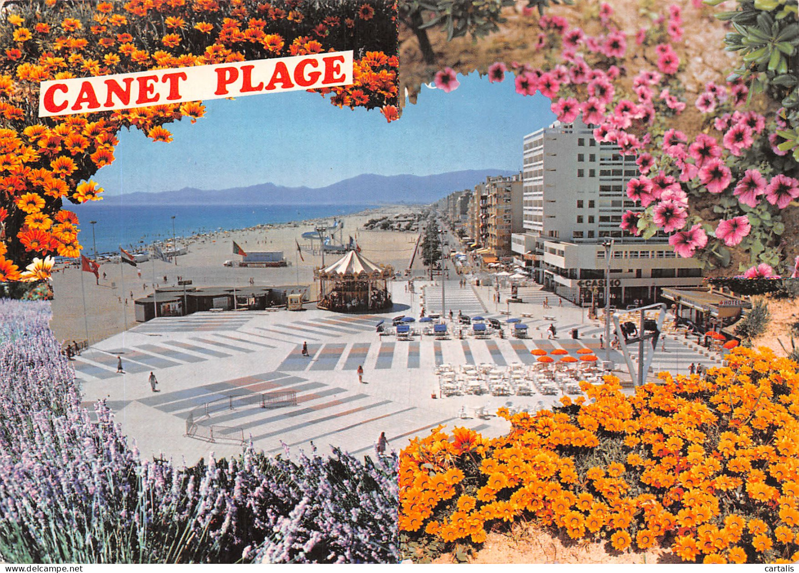 66-CANET -N°4208-C/0011 - Canet En Roussillon