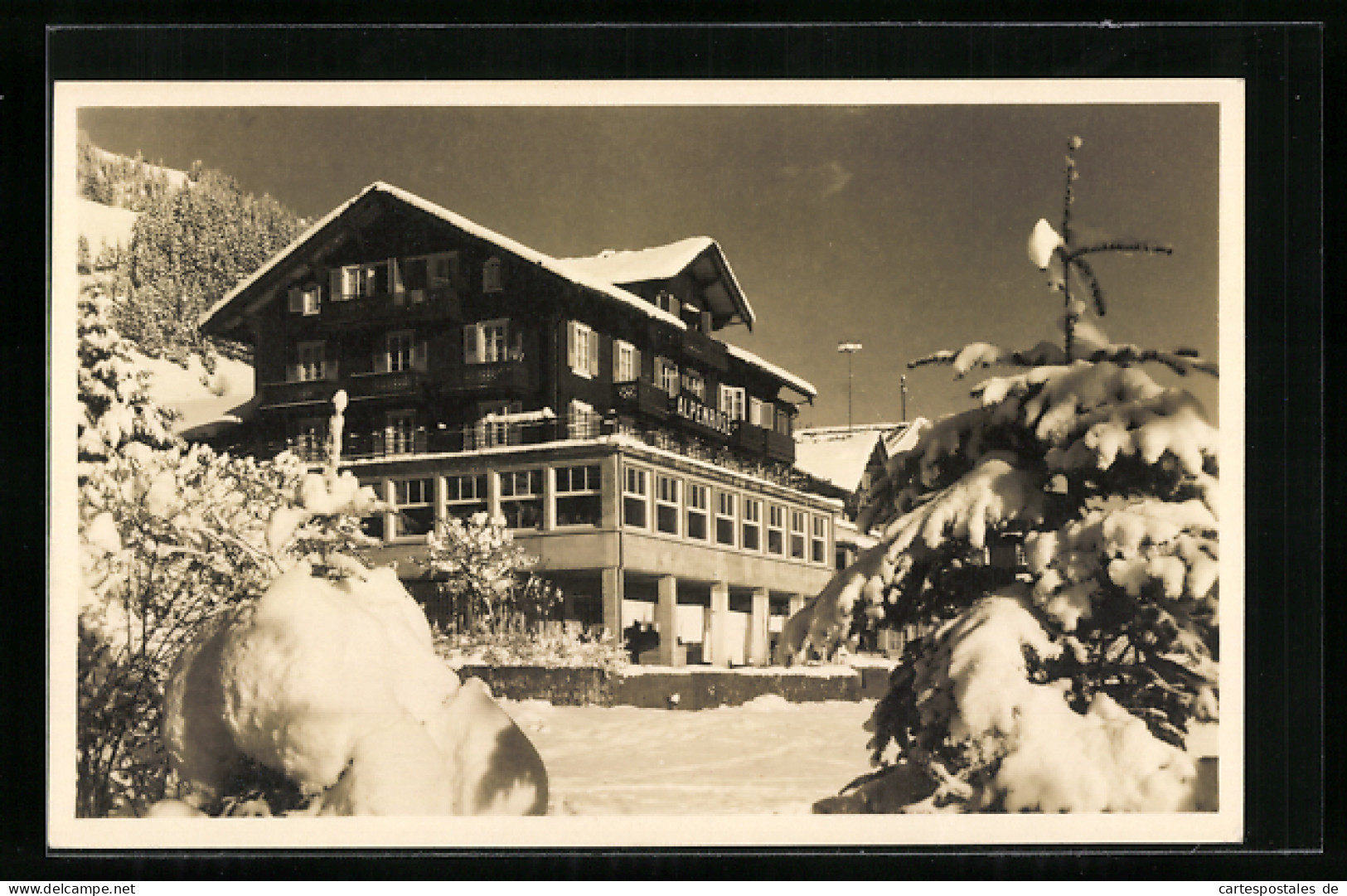 AK Adelboden, Hotel Alpenrose Im Winter  - Adelboden