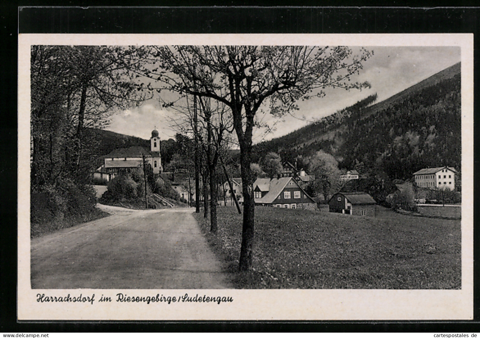 AK Harrachsdorf Im Riesengebirge /Sudetengau, Strassenpartie Mit Kirche  - Tchéquie