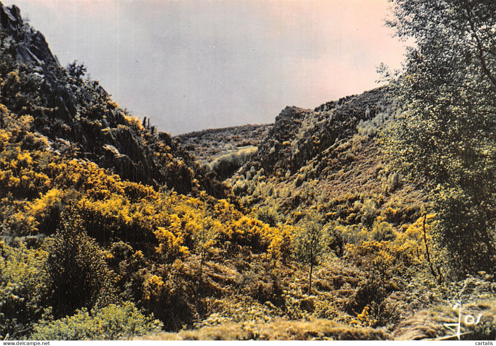 29-LES GORGES DU DAOULAS-N°4209-C/0051 - Andere & Zonder Classificatie