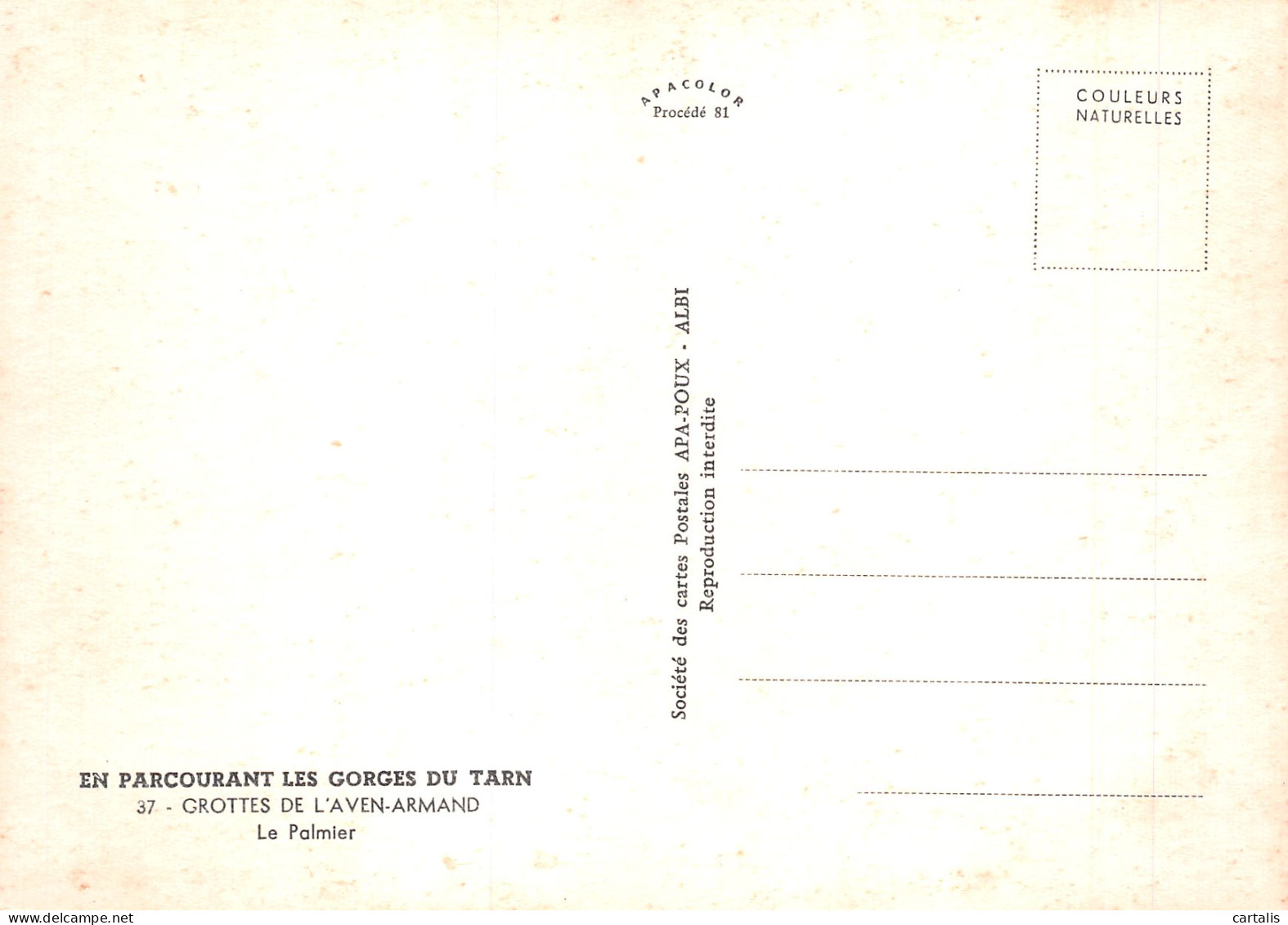 48-GROTTES DE L AVEN ARMAND-N°4209-B/0367 - Autres & Non Classés