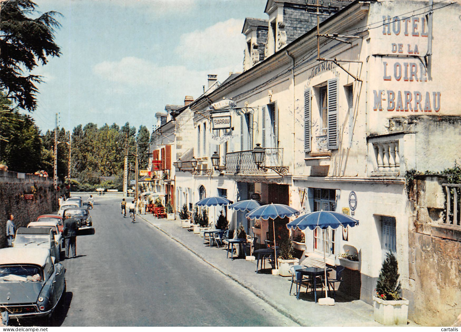 49-GENNES-N°4209-B/0081 - Sonstige & Ohne Zuordnung