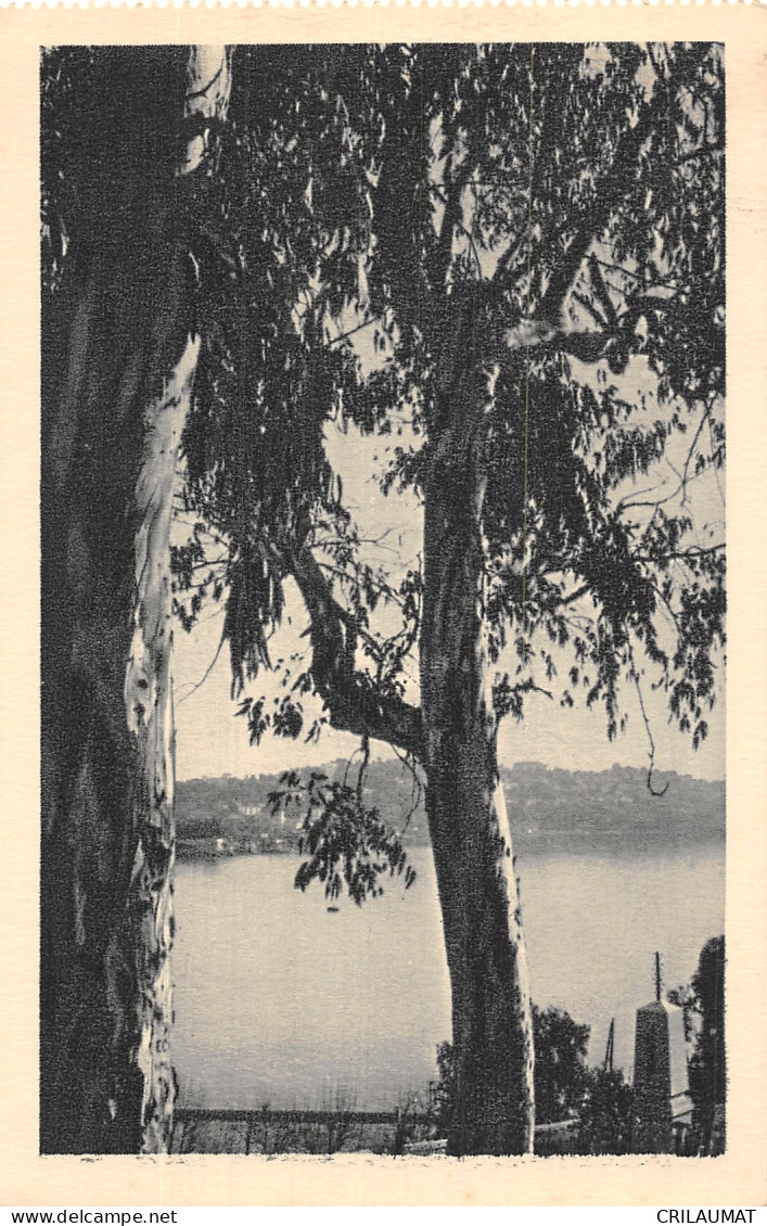 ID-PAYSAGE A IDENTIFIER-N°5152-E/0381 - A Identificar