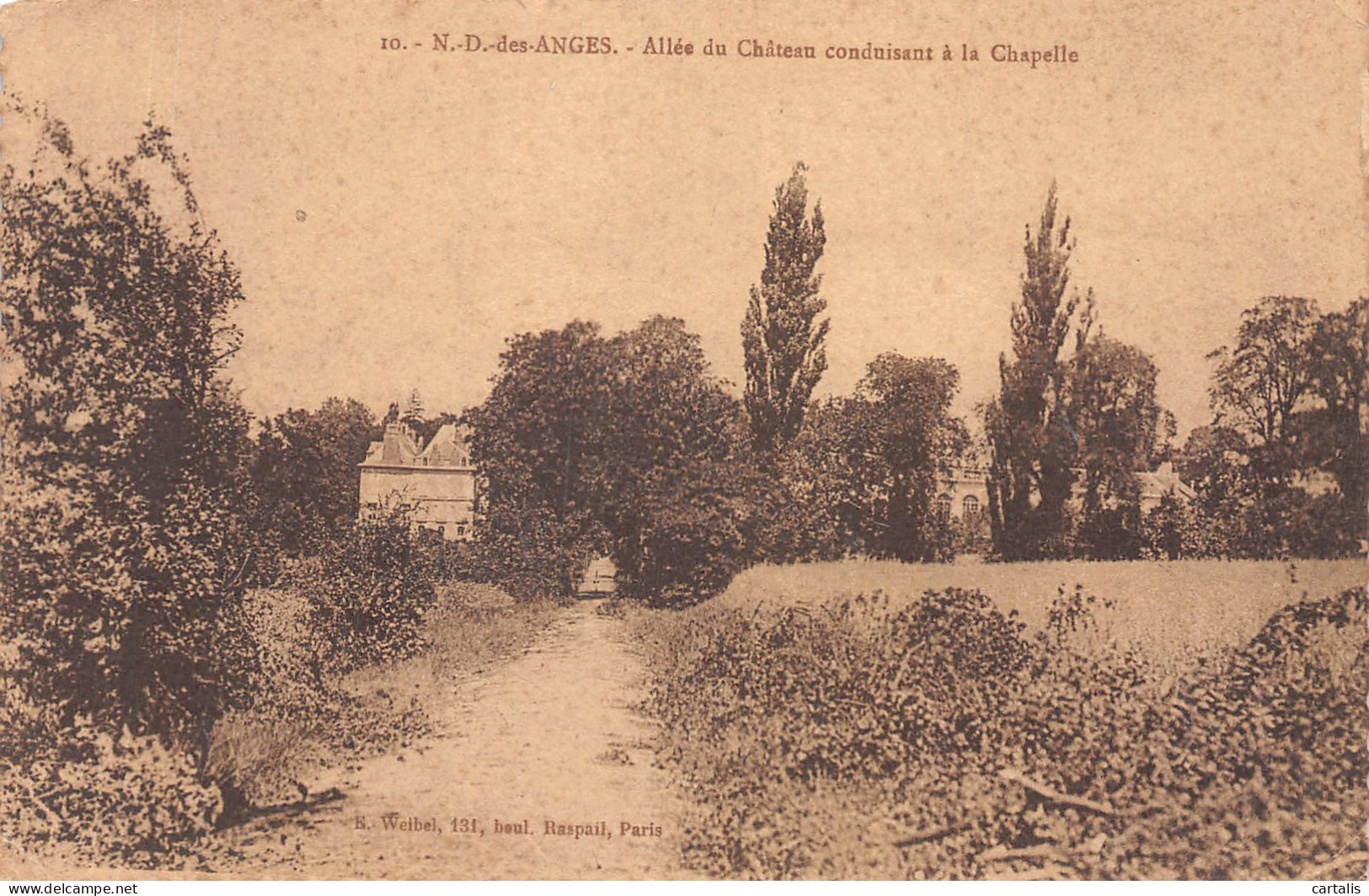 93-NOTRE DAME DES ANGES-N°4209-E/0381 - Sonstige & Ohne Zuordnung