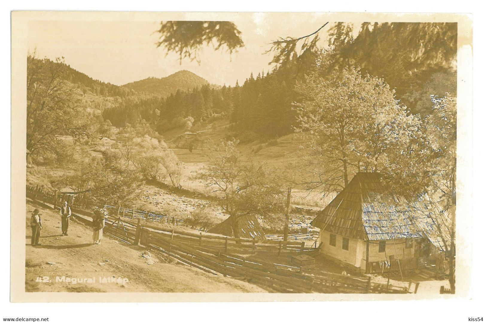 RO 47 - 25468 TG. LAPUS, Maramures, Country Life, Romania - Old Postcard - Unused - Romania