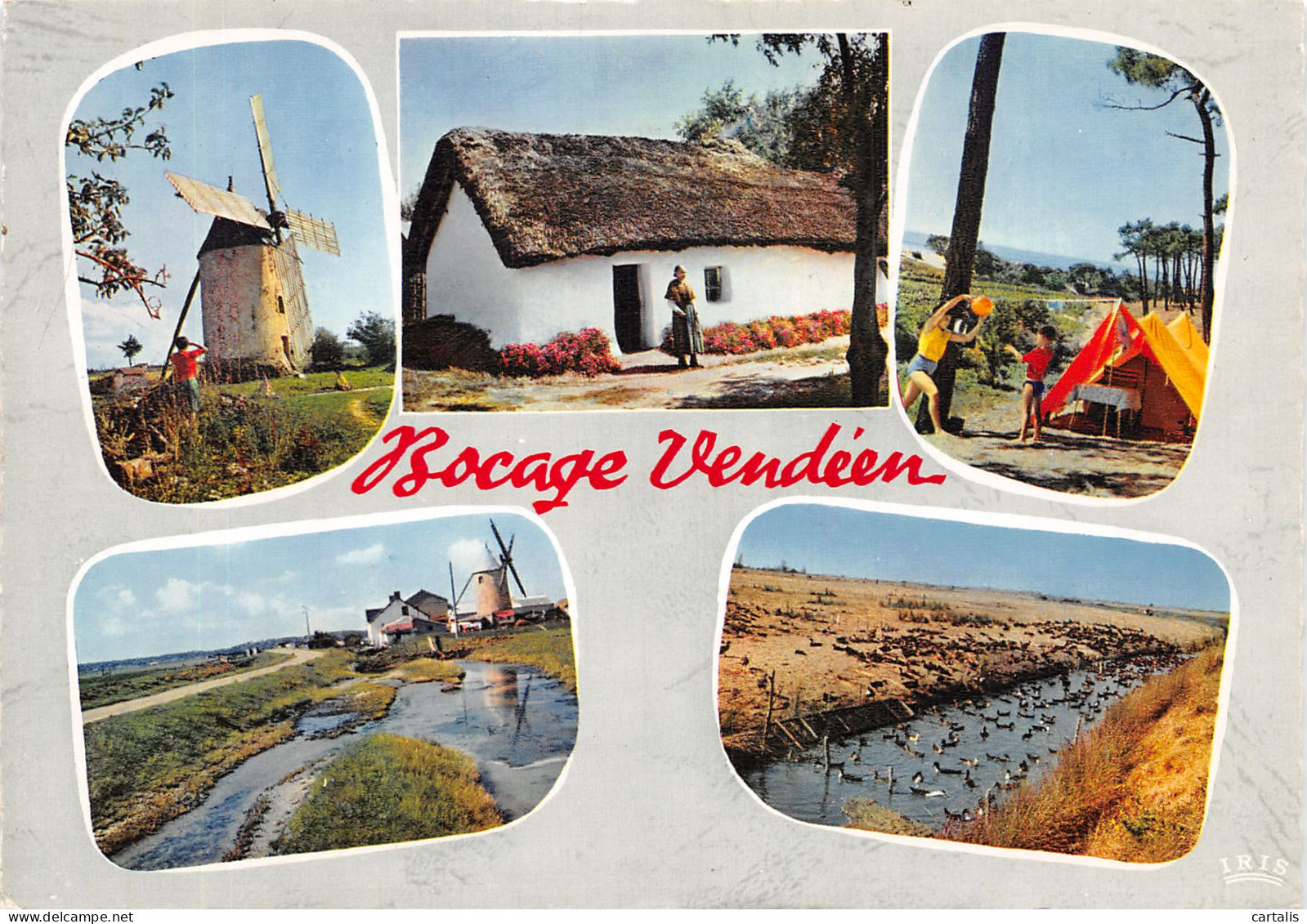 85-VENDEE-N°4209-D/0341 - Other & Unclassified