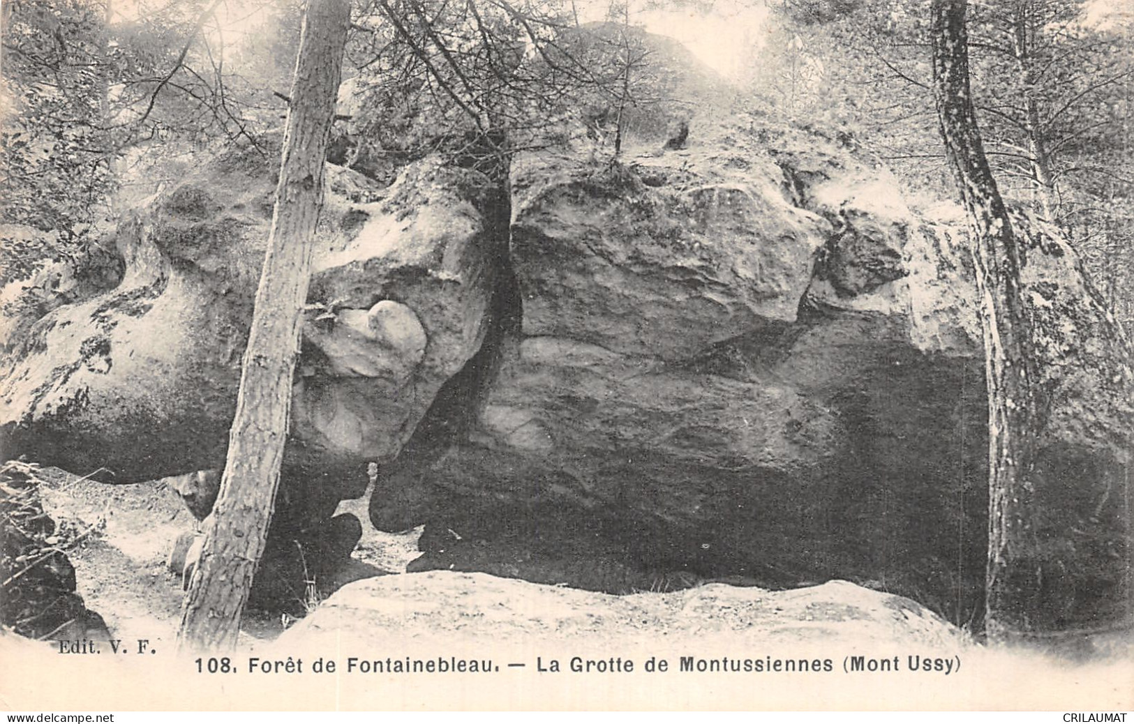 77-FONTAINEBLEAU LA FORET-N°5152-G/0149 - Fontainebleau