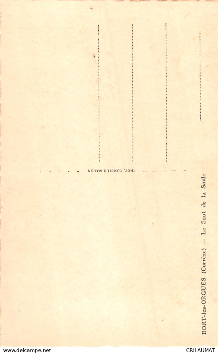 19-BORT LES ORGUES-N°5153-D/0091 - Sonstige & Ohne Zuordnung