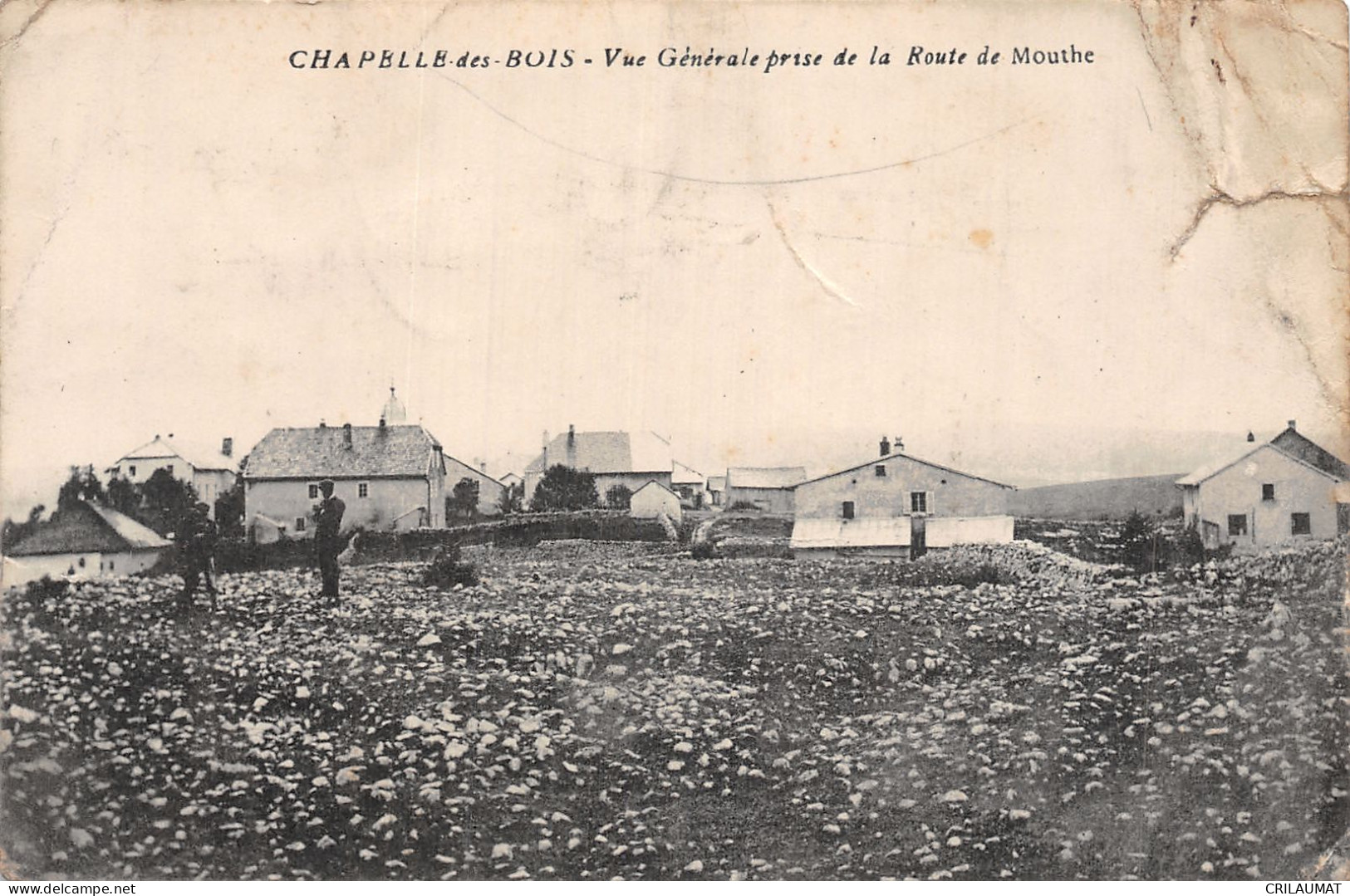 93-CHAPELLE DES BOIS-N°5153-C/0279 - Other & Unclassified