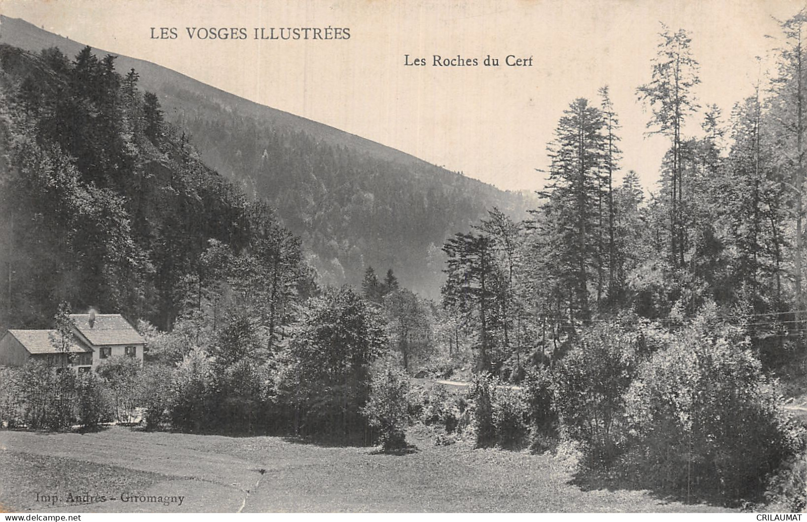 88-LES VOSGES LES ROCHES DU CERF-N°5153-B/0029 - Other & Unclassified