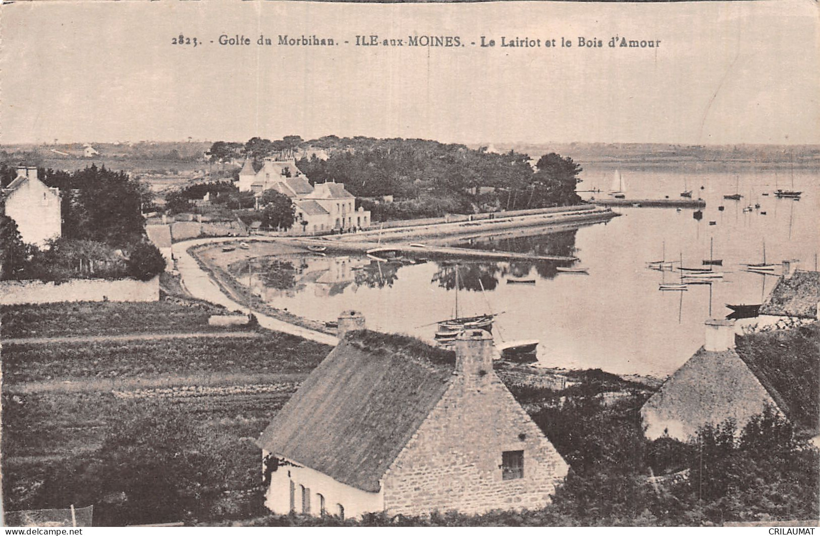 56-ILE AUX MOINES-N°5153-H/0127 - Ile Aux Moines