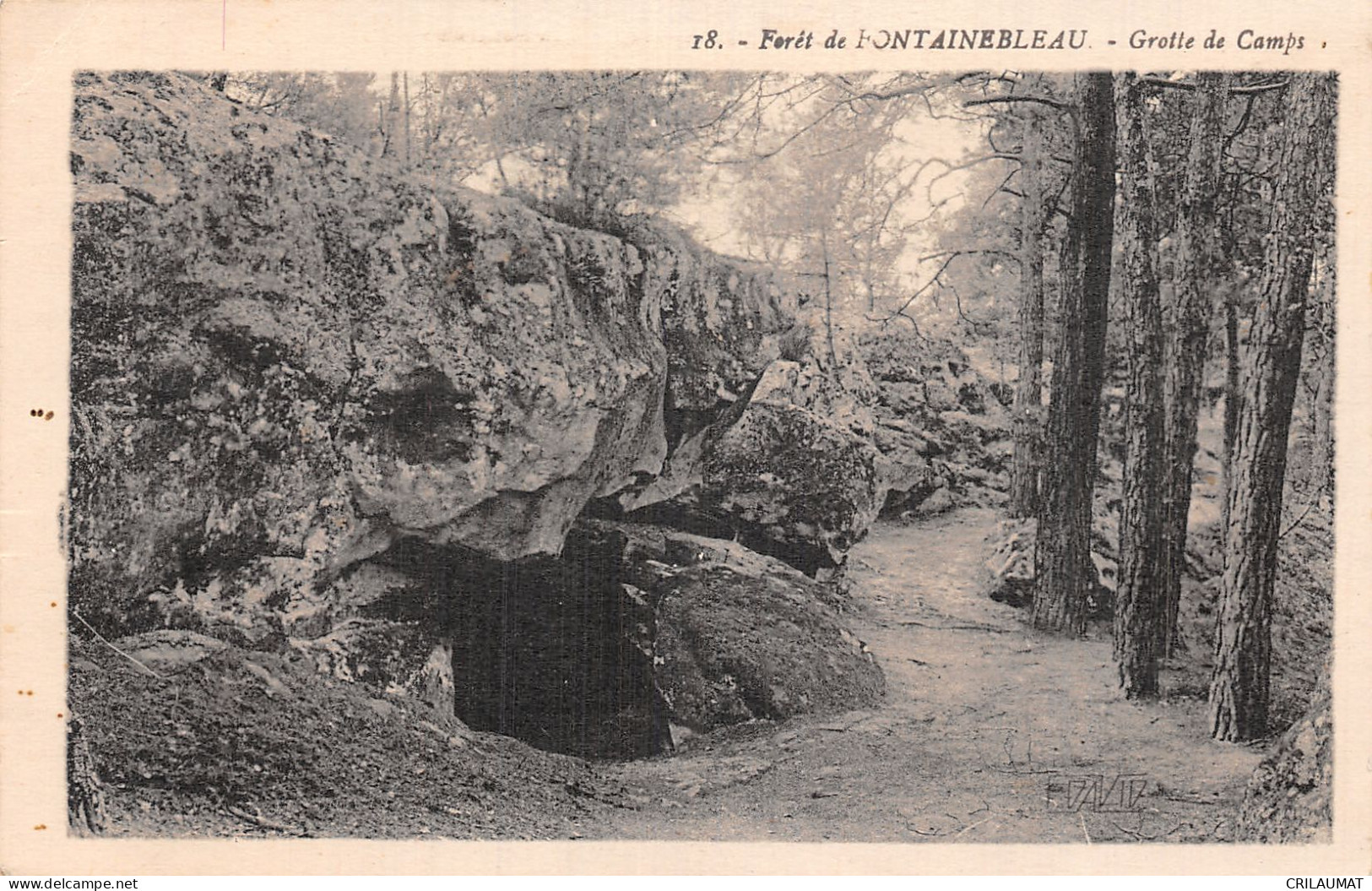 77-FONTAINEBLEAU LA FORET-N°5154-C/0161 - Fontainebleau