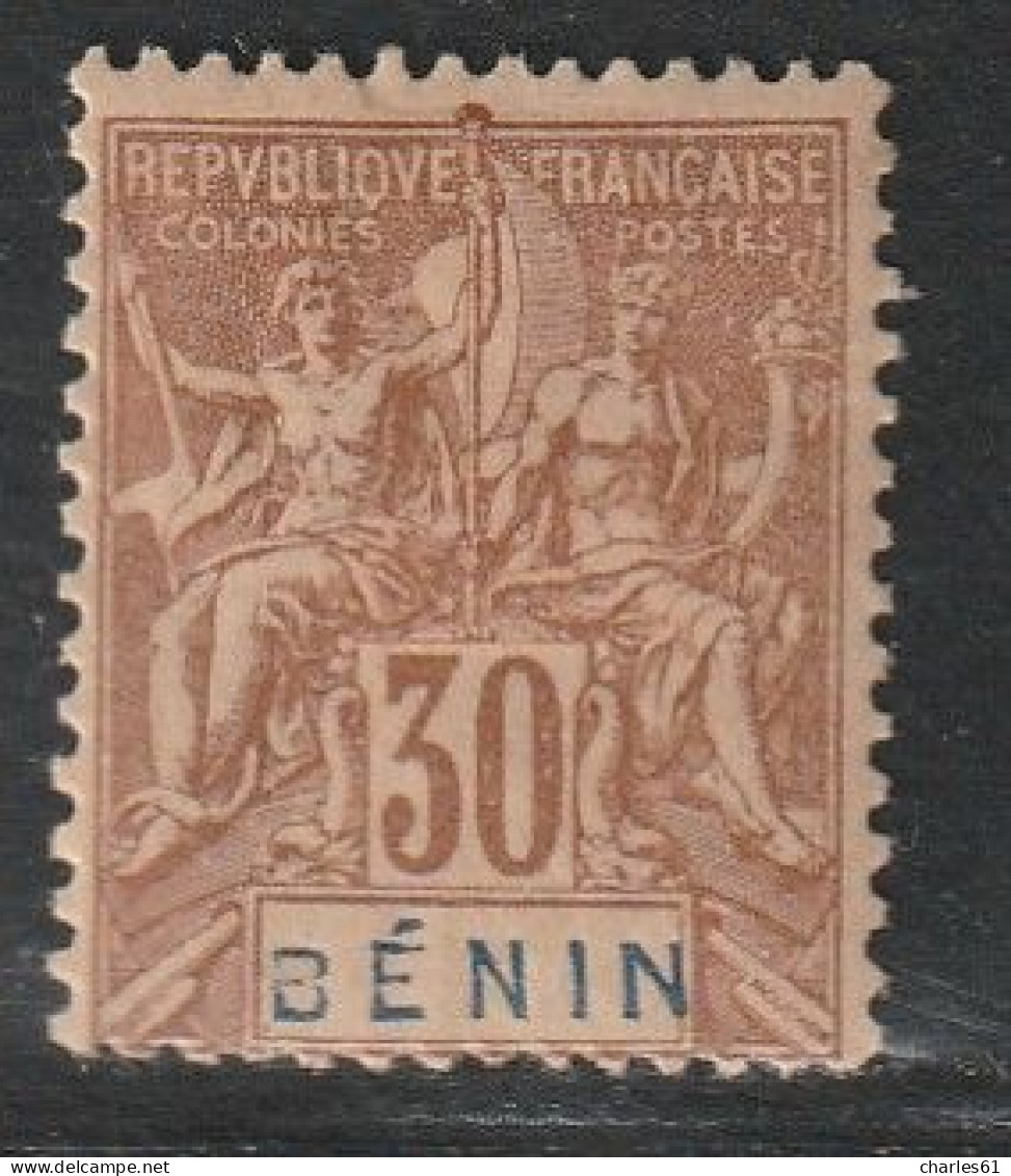 BENIN - N°41 * (1894) 30c Brun - Neufs