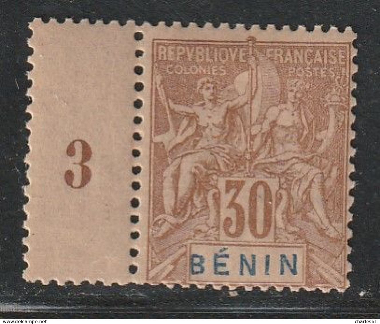 BENIN - N°41 * (1894) 30c Brun - Unused Stamps