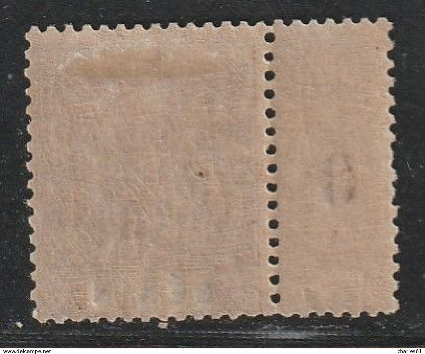 BENIN - N°41 * (1894) 30c Brun - Unused Stamps