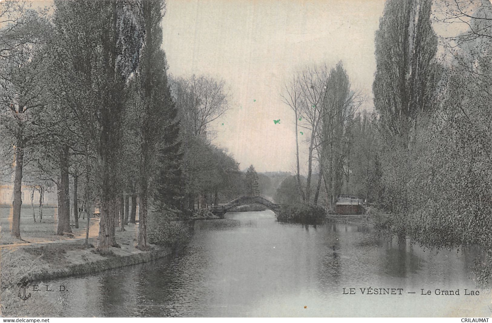 78-LE VESINET LE GRAND LAC-N°5155-B/0149 - Le Vésinet