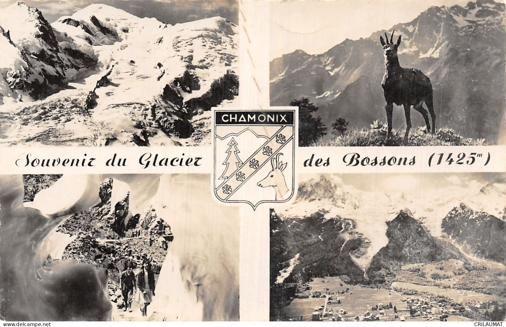 74-GLACIER DES BOSSONS -N°5155-G/0079 - Other & Unclassified