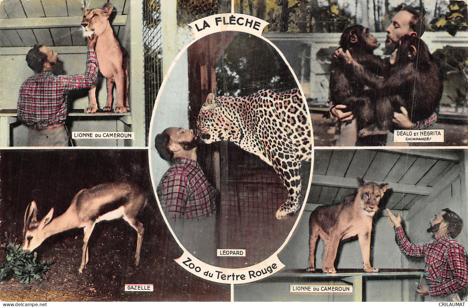 72-LA FLECHE LE ZOO-N°5155-F/0263 - La Fleche