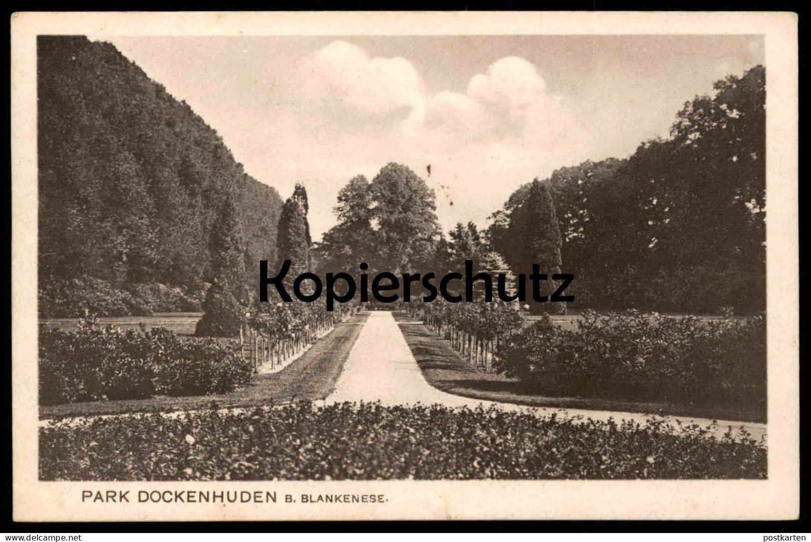 ALTE POSTKARTE PARK DOCKENHUDEN BEI BLANKENESE HAMBURG BEZIRK ALTONA Hirschpark Parc Ansichtskarte AK Cpa Postcard - Altona