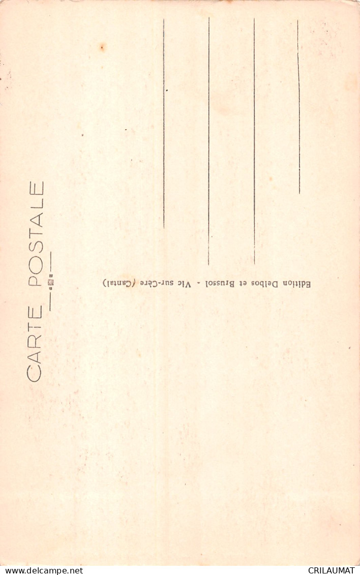 15-VIC SUR CERE-N°5156-H/0045 - Other & Unclassified