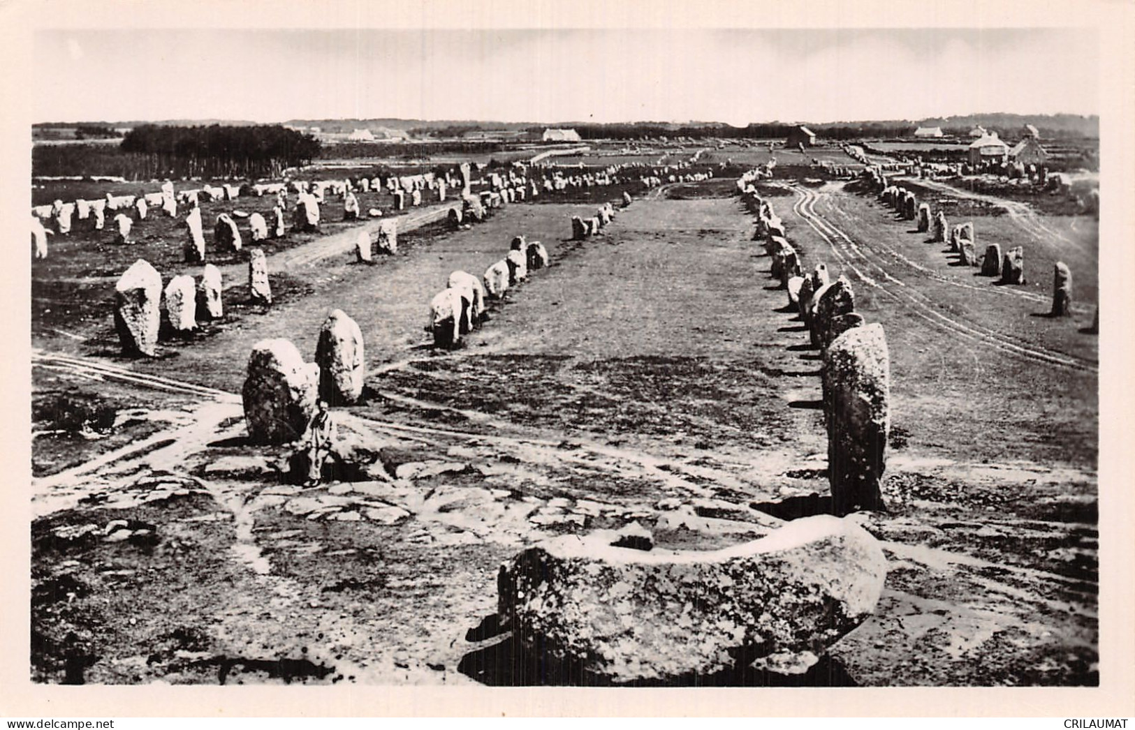 56-CARNAC-N°5156-H/0005 - Carnac